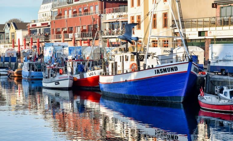 Warnemünder Woche 2026 ⛵ Termin, Programm & Tipps Warnemünder Woche