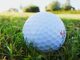 Golfplätze & Golfclubs an der Ostsee Golfball
