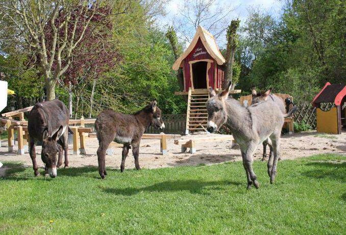 Esel- & Landspielhof Nessendorf