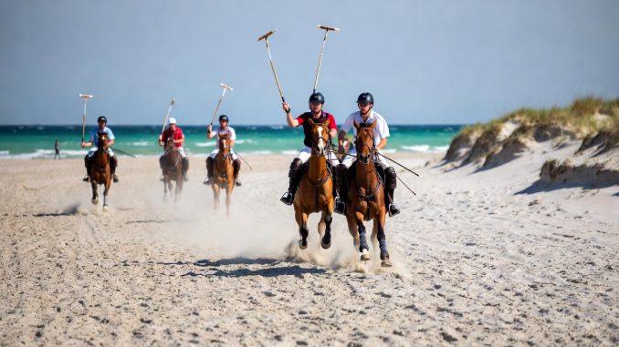 Beach Polo