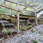 Treppe durch den Wald