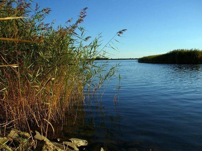 Nationalpark Vorpommersche Boddenlandschaft Nationalpark Vorpommersche Boddenlandschaft