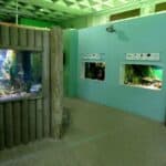 ostsee erlebniswelt aquarium ausstellung 026