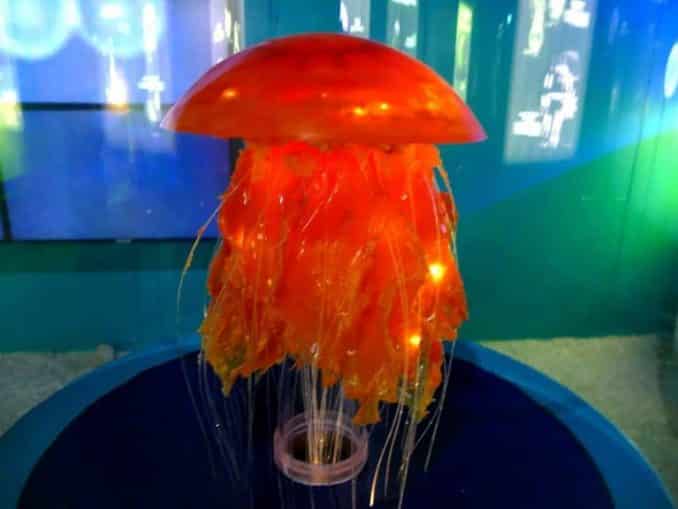 Ostsee Erlebniswelt