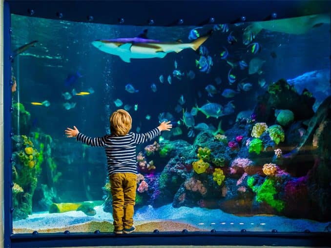 Timmendorfer Strand Sea Life Timmendorfer Strand Sea Life