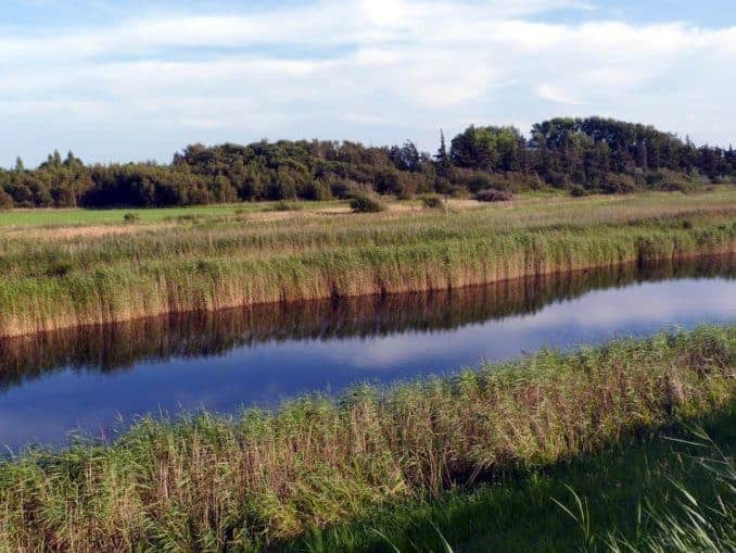 Kanal auf Fehmarn in Schleswig-Holstein