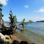 Ruegen Fotogalerie bild 51