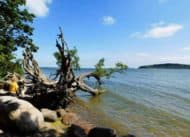 Ruegen-Fotogalerie-bild-51 Ruegen Fotogalerie bild 51