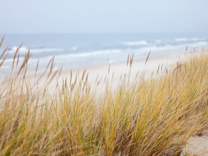 Deutsche Ostsee und Ostseeküste