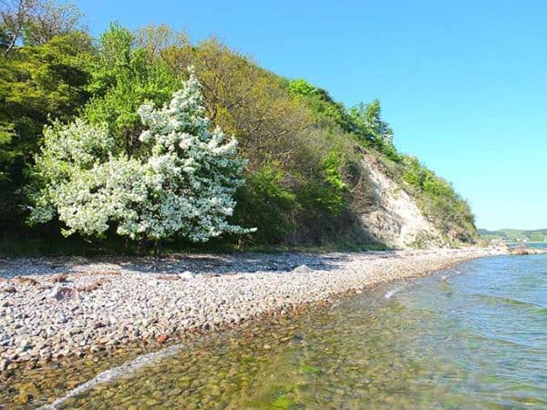 Ostseestiftung sucht Ostsee Schatzhüter