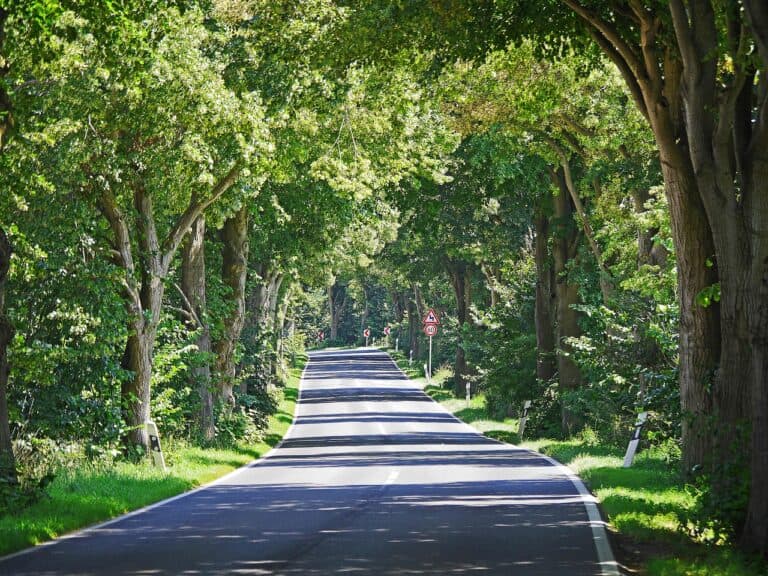 Deutsche Alleenstraße in Garz auf Rügen