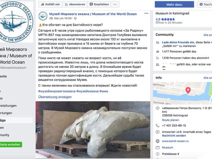 Facebook Screenshot Museum Kaliningrad Knochenfund Facebook Screenshot Museum Kaliningrad Knochenfund