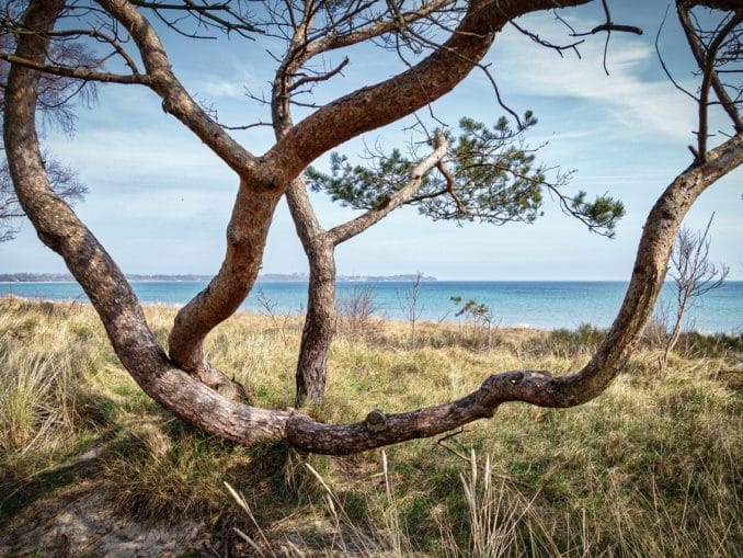 Rügen Fotogalerie Rügen Fotogalerie