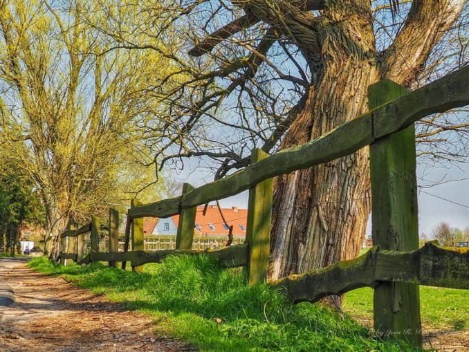 Stolpe auf Usedom / Mecklenburg-Vorpommern / Deutsche Ostsee
