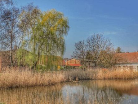 stolpe usedom 7