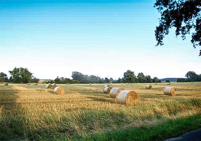 Ostsee erleben in Grüssow (Lieper Winkel)