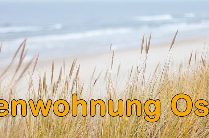 Ferienwohnung Ostsee Angebote
