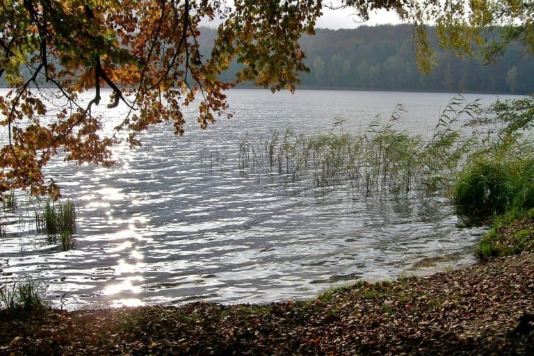 Wolgastsee Bild: MrsMyerDE CC BY-SA 3.0
