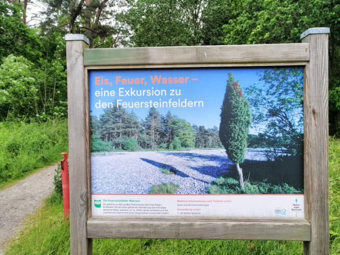 Feuersteinfelder Insel Rügen