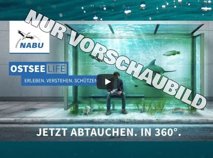 Virtuelle Realität Ostsee / OstseeLIFE / NABU Virtuelle Realität Ostsee / OstseeLIFE / NABU