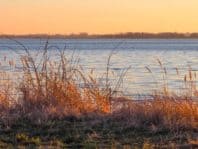 abend auf gnitz