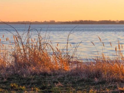 abend auf gnitz