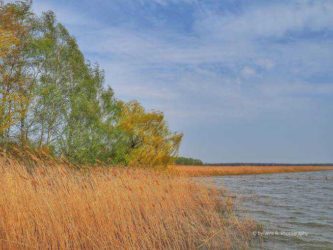 Halbinsel Gnitz Achterwasser