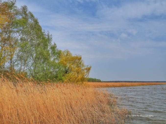 Halbinsel Gnitz (Usedom) Achterwasser