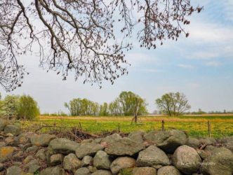 Halbinsel Gnitz Landschaft