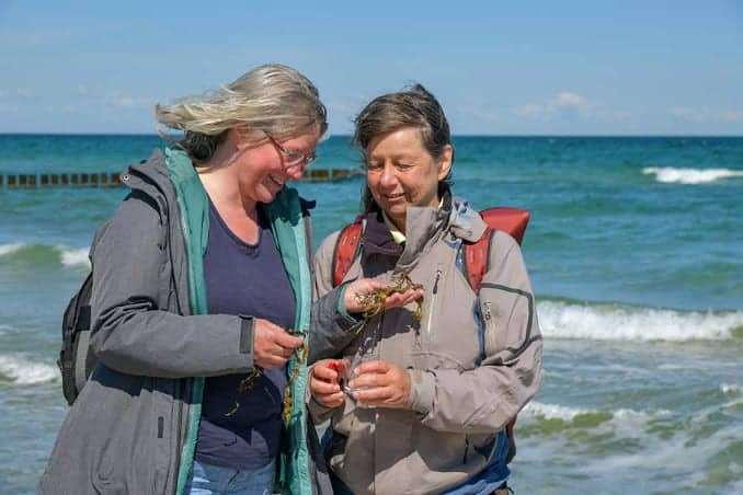 Frauen an der Ostsee bei einer Strandführung