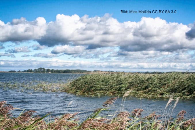 Blick über den Libnitzer Bodden Blick über den Libnitzer Bodden