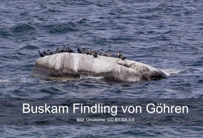 Buskam Findling von Göhren