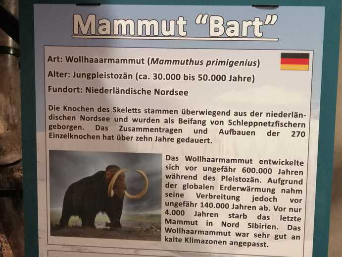 galileowissensweltruegenbild13 ☀️ Ostsee Magazin