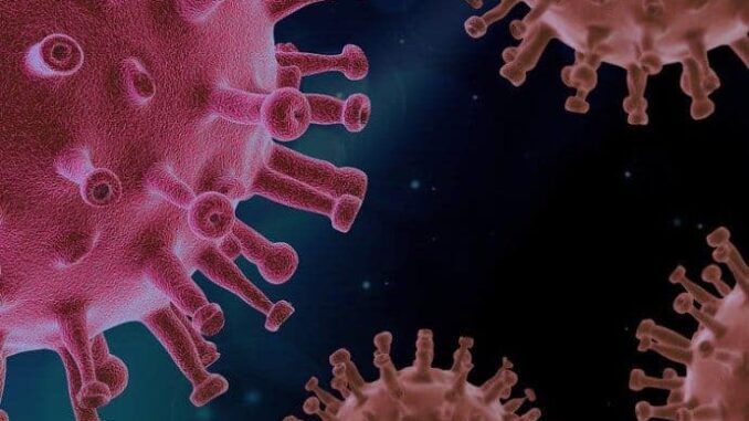 Virus-Pandemie