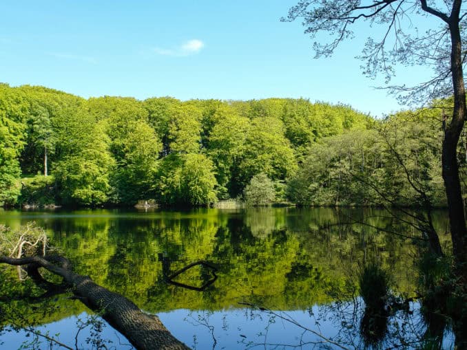 Herthasee auf Rügen / Bild: NZK-Lehmann Public Domain / koenigsstuhl.com