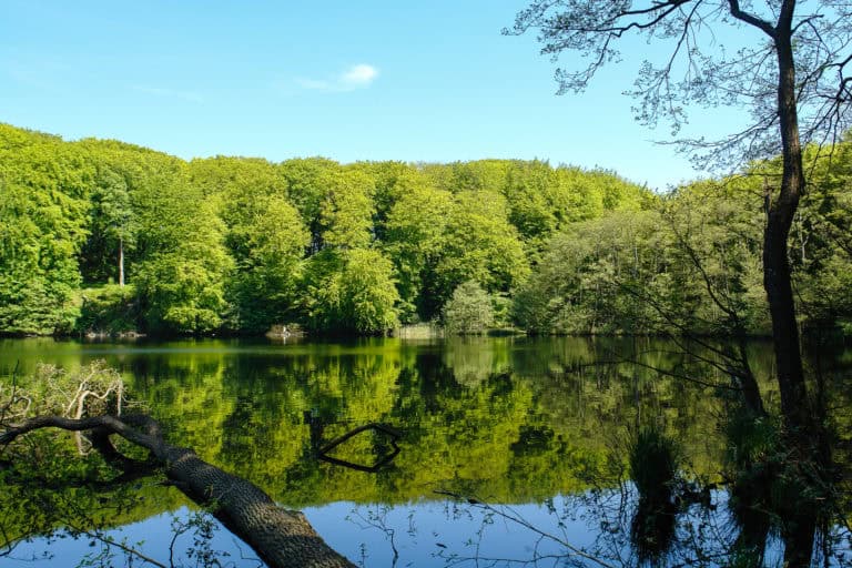 Herthasee auf Rügen / Bild: NZK-Lehmann Public Domain / koenigsstuhl.com