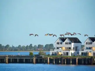 Ferienhäuser in der 1. Reihe am Wasser Ostsee Resort Olpenitz