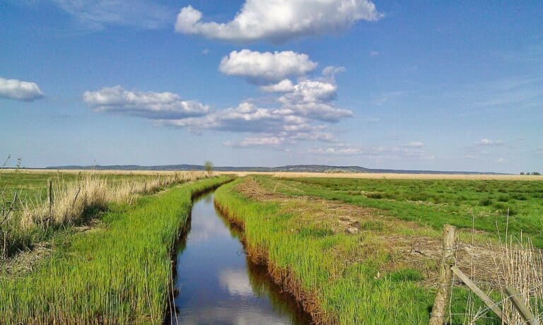 Vogelschutzinsel Karsibor (Polnische Ostsee)