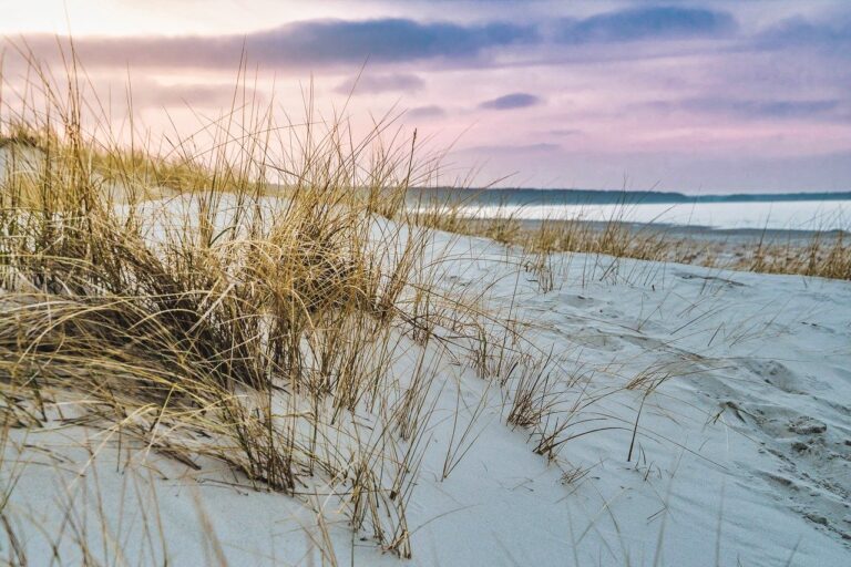 Ostsee Düne