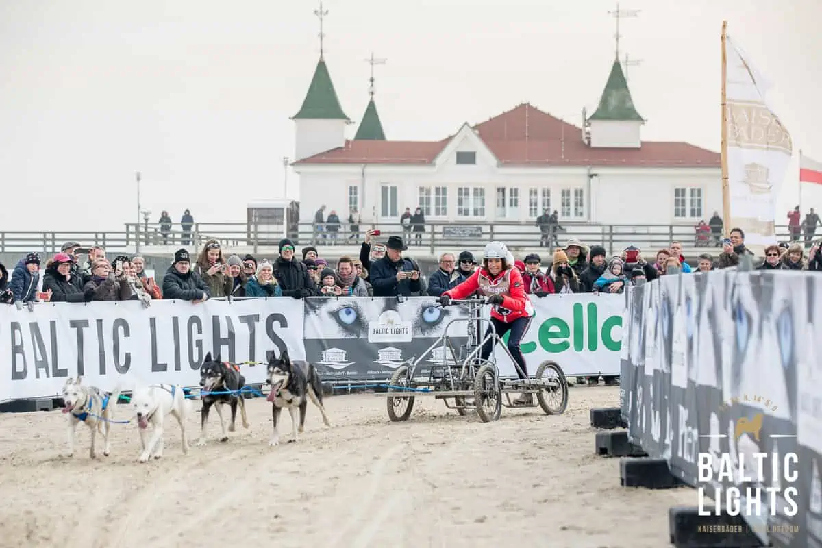 Baltic Lights auf Usedom / Pressefoto: ExperiArts Entertainment / Thomas-Ix