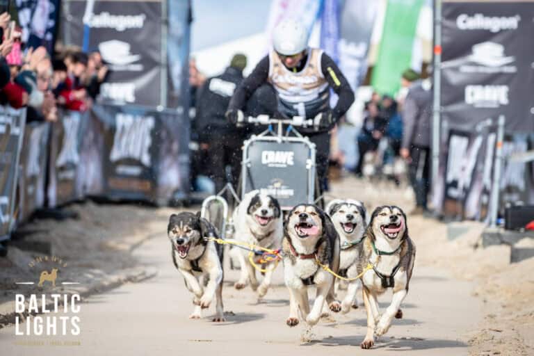 Baltic Lights 2019 ®ExperiArts Entertainment -Adrian_Fohl