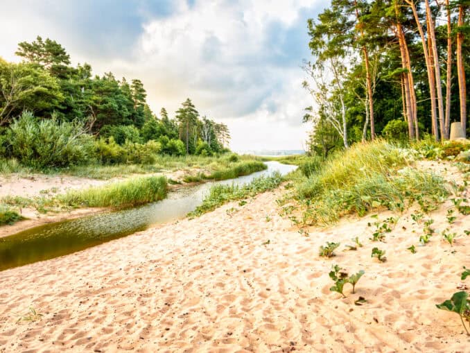 Zufluss Vitter See Kopan