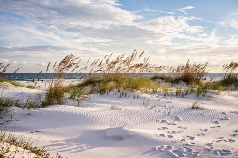 Frische Meeresluft Ostsee Düne