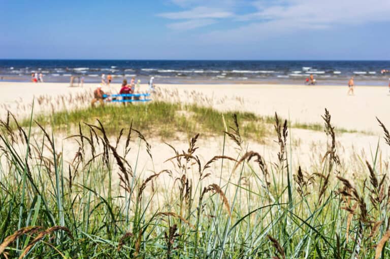 Ostsee Düne Blick zum Strand