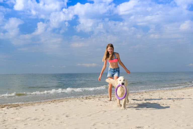 Hund am Strand in Swinemünde