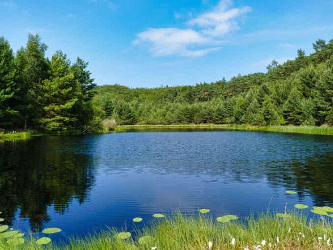 Mümmelkensee Usedom