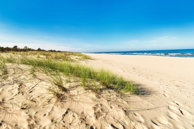 Sanddünen an der Ostsee