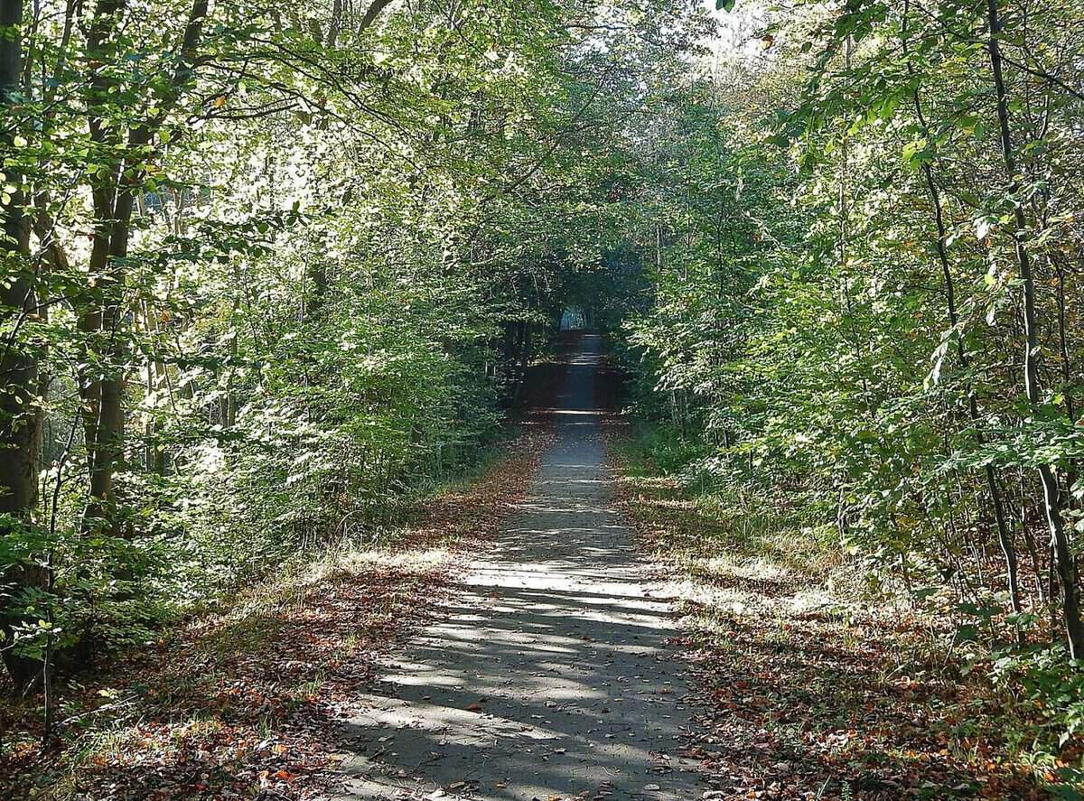 Insel Priwall im Urlaub erleben ☀️ Ostsee Magazin