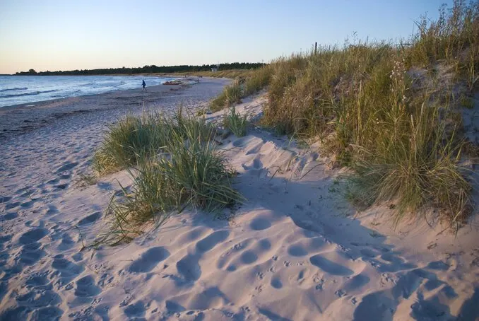 Strand auf Gotland