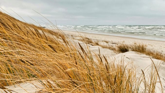 Düne im Ostseeurlaub